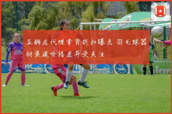 亚狮龙代理拿货折扣曝光 羽毛球器材渠道价格差异受关注